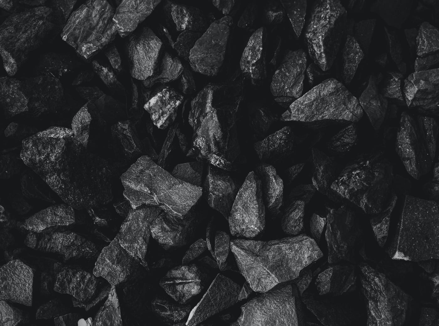 Coal